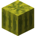 Minecraft melon block.png