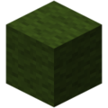 Minecraft wool 13.png