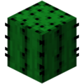 Minecraft cactus.png