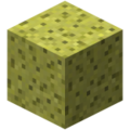 Minecraft sponge.png